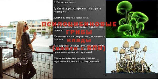 2c-b Алексин
