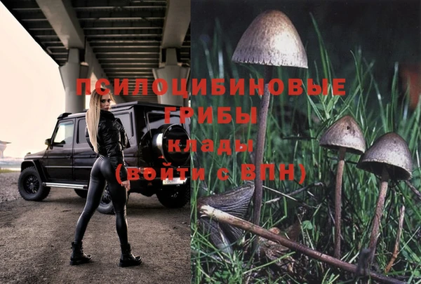 2c-b Алзамай