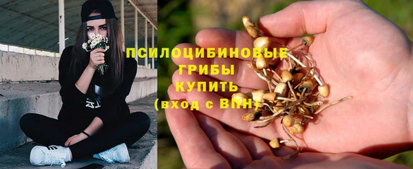 синтетический гашиш Алексеевка