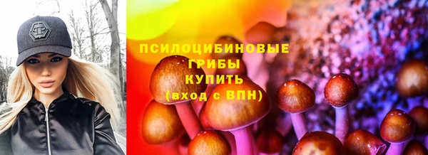 2c-b Алексин