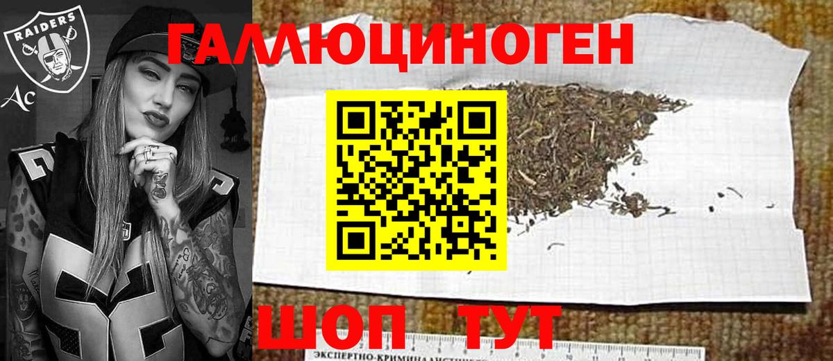 Аргун  Псилоцибиновые грибы мухоморы  Вход с VPN 