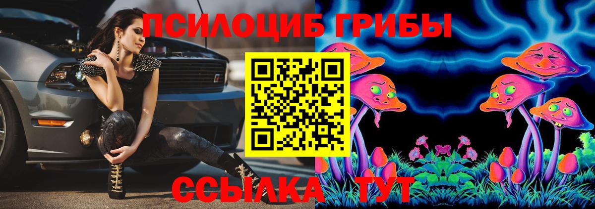 Галлюциногенные грибы ЛСД Аргун